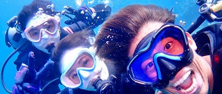 浜比嘉島の海中世界