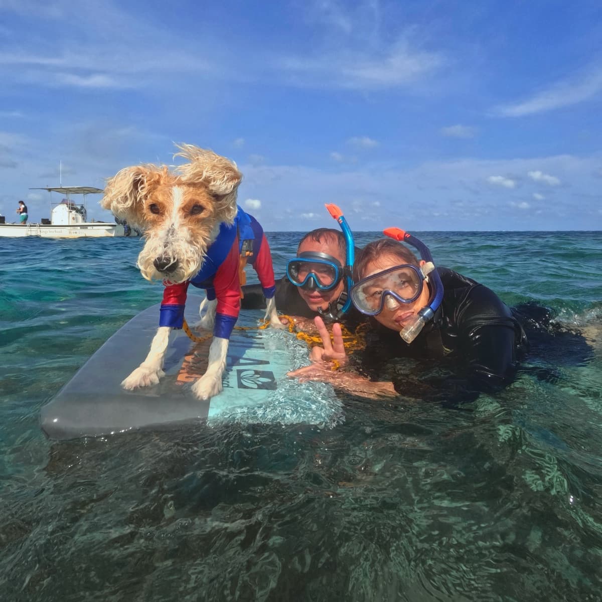 Snorkeling with our friendly boat dog